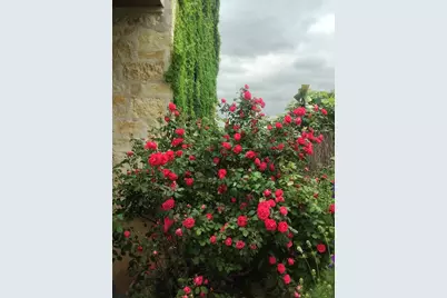 256 Royalview Dr, Fredericksburg, TX 78624 - Photo 63