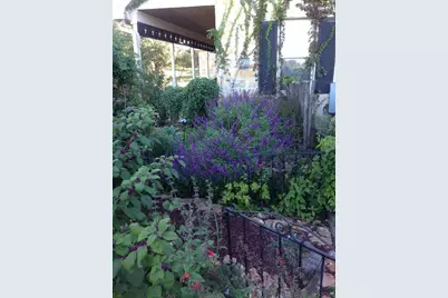 256 Royalview Dr, Fredericksburg, TX 78624 - Photo 61