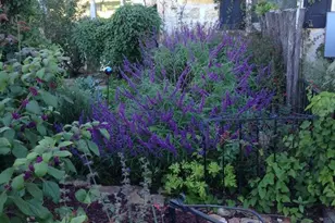 256 Royalview Dr, Fredericksburg, TX 78624 - Photo 61