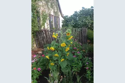 256 Royalview Dr, Fredericksburg, TX 78624 - Photo 65