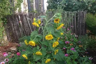 256 Royalview Dr, Fredericksburg, TX 78624 - Photo 65