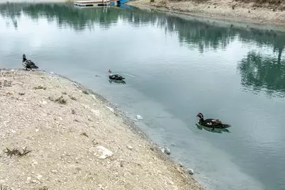 903 Eichen Strasse, Fredericksburg, TX 78624 - Photo 37