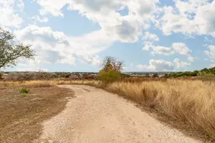 903 Eichen Strasse, Fredericksburg, TX 78624 - Photo 55