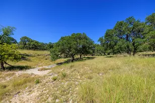 315 Rieger Rd, Harper, TX 78631 - Photo 29