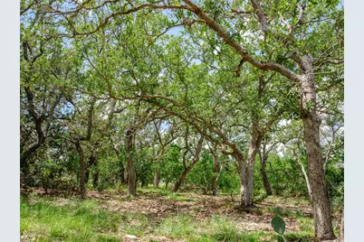 1632 Link, Doss, TX 78618 - Photo 5