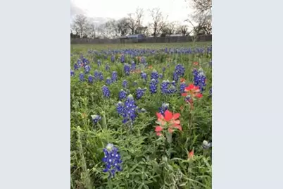 303 Walnut St, Fredericksburg, TX 78624 - Photo 35