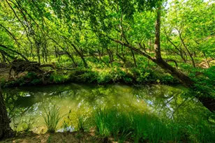 199 Lexington Dr, Fredericksburg, TX 78624 - Photo 21