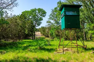 199 Lexington Dr, Fredericksburg, TX 78624 - Photo 39