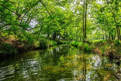 199 Lexington Dr, Fredericksburg, TX 78624 - Photo 19