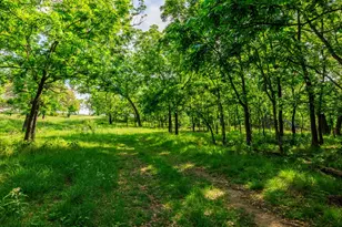 199 Lexington Dr, Fredericksburg, TX 78624 - Photo 25