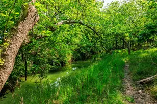 199 Lexington Dr, Fredericksburg, TX 78624 - Photo 3