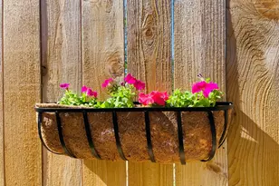 706 Cirrus Ln, Fredericksburg, TX 78624 - Photo 3