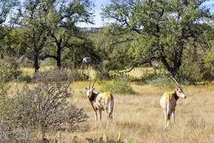 1292 Upper Turtle Creek Rd, Kerrville, TX 78028 - Photo 67