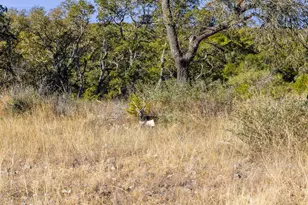 1292 Upper Turtle Creek Rd, Kerrville, TX 78028 - Photo 65