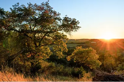 21 Scenic Ridge Dr, Fredericksburg, TX 78624 - Photo 9
