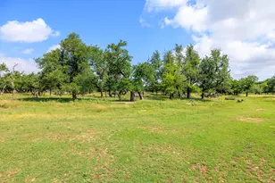 8218 N US Hwy 87, Fredericksburg, TX 78624 - Photo 19