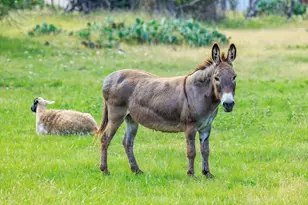 8218 N US Hwy 87, Fredericksburg, TX 78624 - Photo 23
