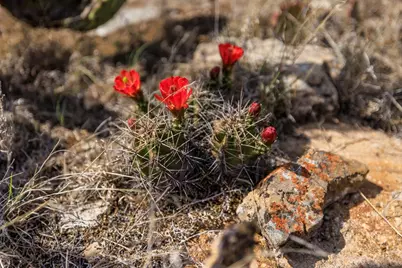 4632 Onion Creek Rd, Doss, TX 78618 - Photo 43