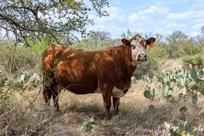 4632 Onion Creek Rd, Doss, TX 78618 - Photo 31