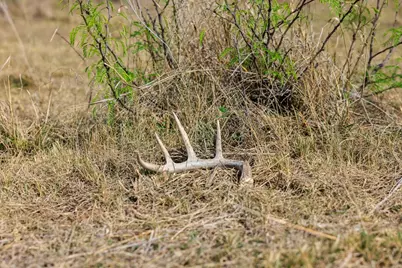 4632 Onion Creek Rd, Doss, TX 78618 - Photo 11