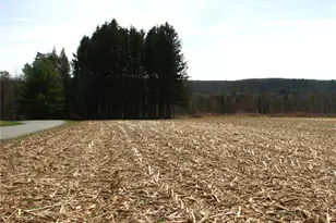 0 Fredericks Grove Rd, Mahoning Twp, PA 18235 - Photo 7