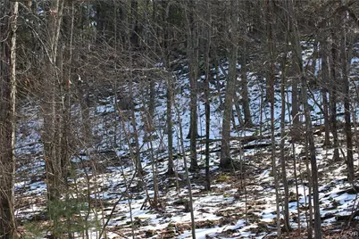 Deer Path 21, Price Twp, PA 18302 - Photo 3