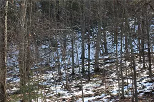 Deer Path 21, Price Twp, PA 18302 - Photo 3