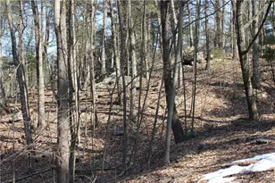 Deer Path 21, Price Twp, PA 18302 - Photo 5