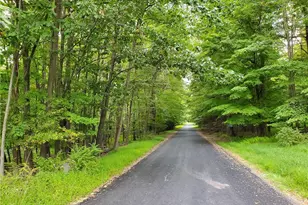 32 Tall Oak Dr, Tobyhanna Twp, PA 18347 - Photo 3