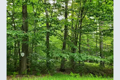 32 Tall Oak Drive #Lot 32, Pocono Lake, PA 18347 - Photo 1