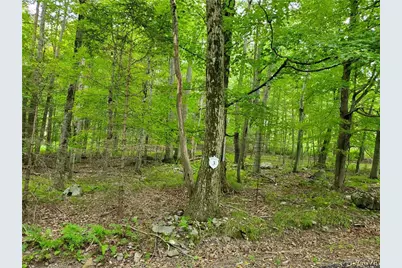 3 Tall Oak #Lot 3, Tobyhanna Twp, PA 18347 - Photo 1