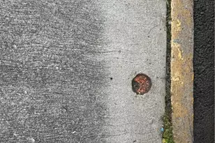 516 N 2nd St, Allentown City, PA 18102 - Photo 17