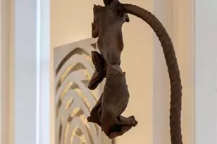 230 Ferry St, Easton, PA 18042 - Photo 81