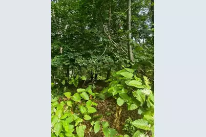 0 N Highland, Pottsville, PA 17901 - Photo 3