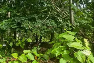 0 N Highland, Pottsville, PA 17901 - Photo 3