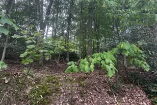 0 N Highland, Pottsville, PA 17901 - Photo 5