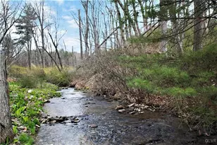 65 E Lizard Creek Rd, East Penn Twp, PA 18235 - Photo 7