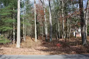 Buck Mountain Rd, Lehigh Twp, PA 18255 - Photo 3