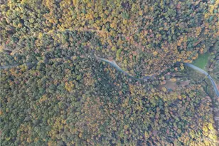 609 Catawissa Rd, Walker Twp, PA 18252 - Photo 7