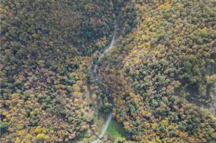 609 Catawissa Rd, Walker Twp, PA 18252 - Photo 13