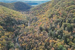 609 Catawissa Rd, Walker Twp, PA 18252 - Photo 15