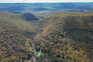 609 Catawissa Rd, Walker Twp, PA 18252 - Photo 3