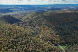 609 Catawissa Rd, Walker Twp, PA 18252 - Photo 5