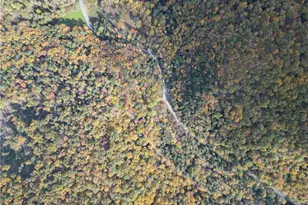 609 Catawissa Rd, Walker Twp, PA 18252 - Photo 9