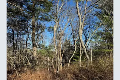 Eagles (Bush) Court, Stroud Twp, PA 18360 - Photo 5