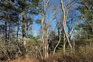 Eagles (Bush) Ct, Stroud Twp, PA 18360 - Photo 5