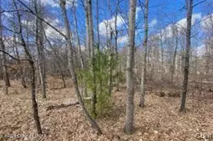 0 Pine Creek Rd, Wayne, PA 18428 - Photo 3