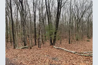 15 Mimosa Rd, East Stroudsburg, PA 18302 - Photo 3