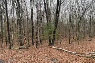 15 Mimosa Rd, East Stroudsburg, PA 18302 - Photo 3