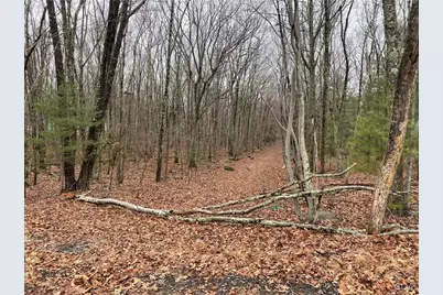 15 Mimosa Rd, East Stroudsburg, PA 18302 - Photo 7